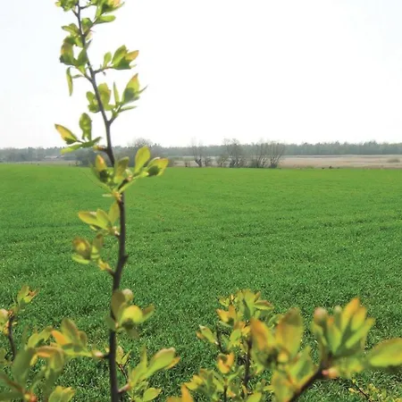 Piledybgard Dom wakacyjny *